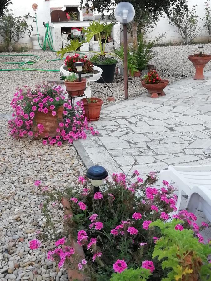 B&B Villa Claudia Анціо Екстер'єр фото